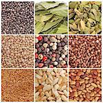 Assortment of grain and spices in cloae-up