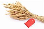Wheat ear with red tag