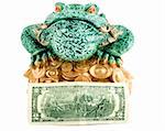 frog 2 dollar symbol wealth close-up concepts isolated on white background