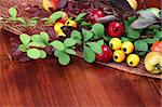 Autumn arrangement on a wooden table. Shallow dof