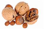 walnuts and hazelnuts  isolated on white background