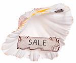 Summer Beach Sale Vintage Sale Label on a Shell.  Isolated on White with a Clipping Path.