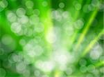 Green Aura White bokeh for web page background