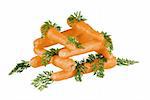 Carrots stacket up with leaves around on white background