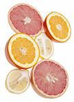 Group of citrus border or background image including oranges, grapefruit and lemons.