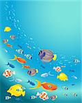 an illustration of a variety of tropical fish swimming in a deep blue ocean