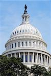 Capitol Hill Building dome closeup with blue sky and trees, Washington DC