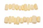 Two rows of baby corn isolated on a white background with a clipping path.