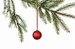 Red Christmas ball hanging from Tree