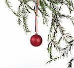 Red Christmas balls hanging from Tree