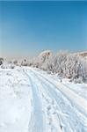 winter road,  trees and bushes covered by hoarfrost in background