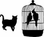 parrots and cat silhouette - vector