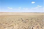 Mongolian landscape in the Gobi desert