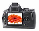 dslr with summer flower isolated on white background