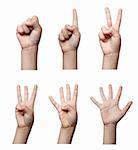 collection of hands gesturing, on white background , each one is in the full cameras resolution.