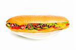 Long sandwich isolated on the white background