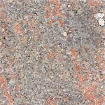 Seamless texture - the surface rock with lichen