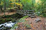 Beautiful view of a small wooden bridge over a river in the woods in Geres National Park, in the north of Portugal.