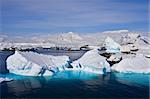 Huge icebergs in Antarctica, blue sky, azure water, sunny day