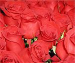 Bouquet of flowers of bright red roses close