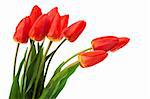 beautiful bouquet of tulips on a white background