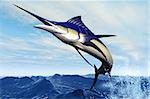 A sleek blue marlin bursts from the ocean surface in a grand leap.