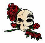 Skull with red rose on white background. Vector illustration