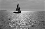Lone yacht sailing in the Adriatic sea. Black and white image