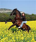 beautiful black stallion with girl in a field