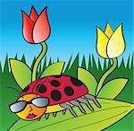 A cartoon depiction of a ladybug in the garden with tulip flowers in the background.