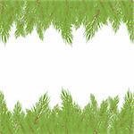 Christmas green Fur-tree with  decoration. Vector illustration