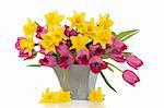 Tulip and daffodil flowers in a pewter vase, with loose daffodils, over white background.