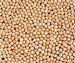 Chick peas (garbanzo beans), fine organic food