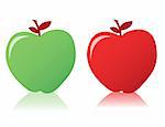 Two fresh apples with leave isolated over a white background. vector