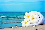 Towel and three plumeria flowers on the tropical beach