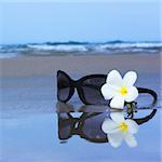 Reflection of Sunglasses and plumeria flower on the beach