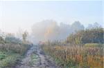 Landscape, autumn morning, vicinities of a Moscow suburbs, Russia
