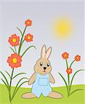 A little bunny dressed in blue, standing     between red flowers.