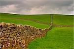 Dry stones wall on the fields in Yorkshire Dales in Great Britain