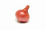 One large onion on a white background