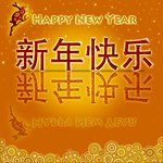 Happy Chinese New Year of the Rabbit 2011 with Gold Background