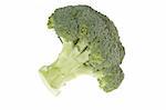 Fresh green broccoli isolated on the white background