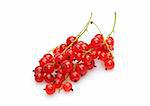 red currant photo on the white background