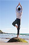 Businessman doing equilibration exercise on a rock at the beach