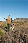 Quail hunter in camouflage clothing walking across the field