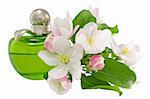 Perfume and flowers on a white background close-up