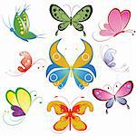 Collection of multicolored butterfly. Element for design. Vector illustration
