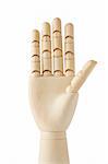 wooden dummy hand with five fingers up on white background