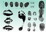Fingerprint Footprints and Lips 2 - Very accurately scanned and traced ( Vectors are transparent so it can be overlaid on other images, vectors etc.)