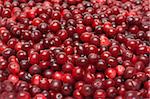 Much red ripe cranberries put by background